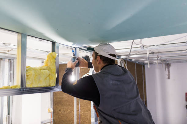 Best Commercial Insulation in Cassville, WV