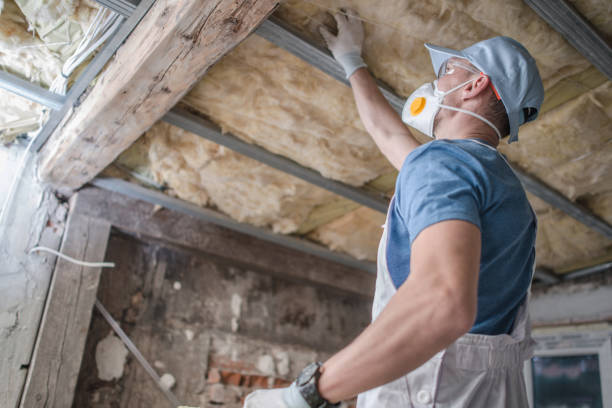 Best Insulation Maintenance and Repair in Cassville, WV